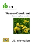 wasserkreuzkraut-erkennen